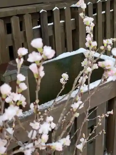 阿邪訶根神社(福島県)