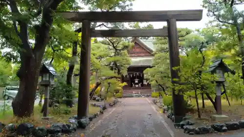 新潟大神宮の鳥居