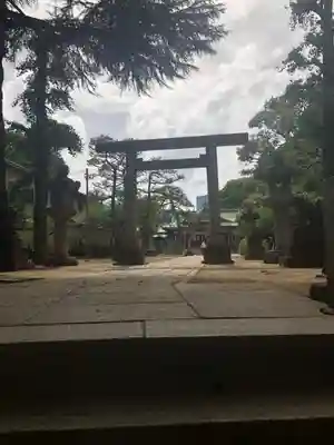 品川神社の鳥居