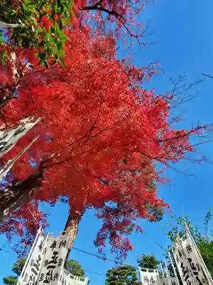 開成山大神宮(福島県)
