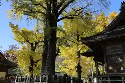 綾部八幡神社(佐賀県)