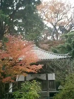安國論寺（安国論寺）の本殿・本堂