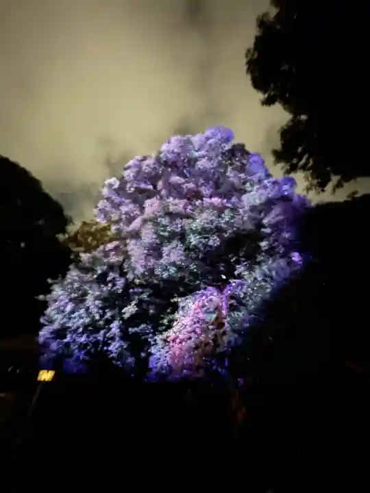 武蔵一宮氷川神社(埼玉県)
