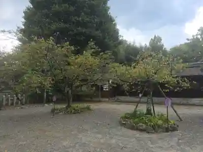 平野神社(京都府)