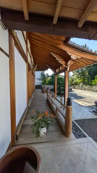 悟眞寺(悟真寺)(京都府)