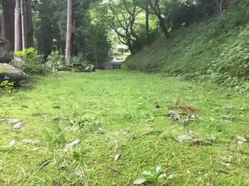 雲巌寺の自然