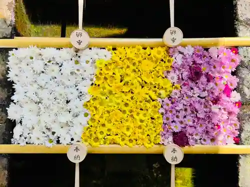 土津神社｜こどもと出世の神さまの手水