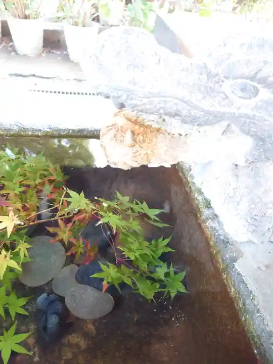 大依羅神社(大阪府)