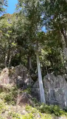 長命寺の{uncategorized: "未分類", other: "その他", undefined: "問題あり", building: "その他建物", grave: "お墓", sacred_gate: "鳥居", guardian: "狛犬", statue: "像", buddha: "仏像", history: "歴史", nature: "自然", garden: "庭園", animal: "動物", pagoda: "塔", temizu: "手水舎", mountain_gate: "山門・神門", sanctuary: "本殿・本堂", subordinate: "末社・摂社", art: "芸術", scenery: "景色", jizo: "地蔵", ema: "絵馬", goshuin: "御朱印", omikuji: "おみくじ", items: "授与品その他", amulet: "お守り", goshuincho: "御朱印帳", eats: "食事", festival: "お祭り", votive_dance: "神楽", shichigosan: "七五三参", wedding: "結婚式", experience: "体験その他", initially: "初詣", around: "周辺", anti_infection: "感染症対策"}