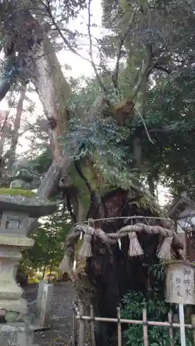 川尻八幡宮(神奈川県)