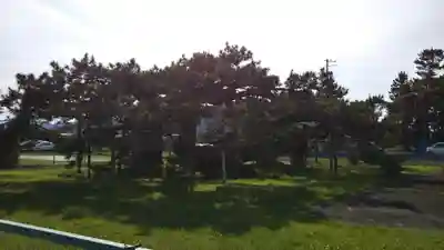 大井八幡神社の自然