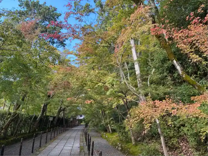 光明寺(粟生光明寺)(京都府)