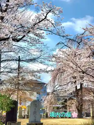 妙林寺(福島県)