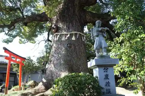 法楽寺の像