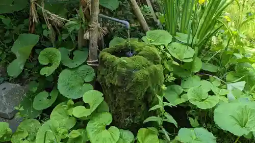 浅草観音寺の手水