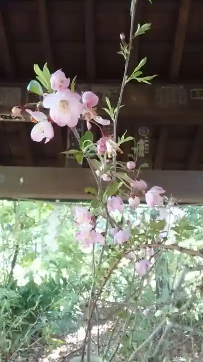 赤坂氷川神社(東京都)
