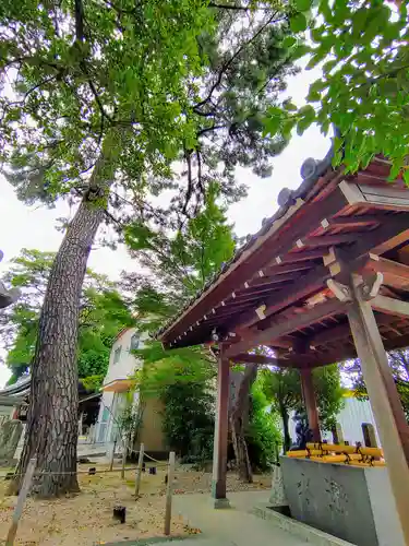 大井神社（如意）の手水舎