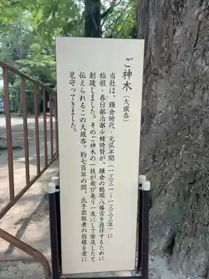 春日部八幡神社(埼玉県)