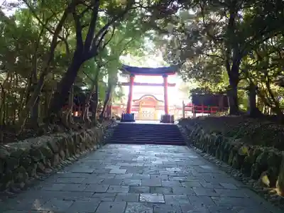 宇佐神宮(大分県)