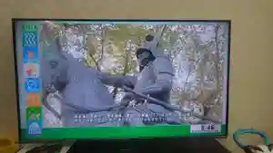 津観音(三重県)(2022年03月18日(金) 20時51分03秒投稿)