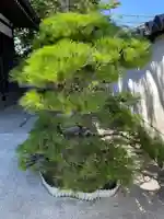 威徳院(兵庫県)