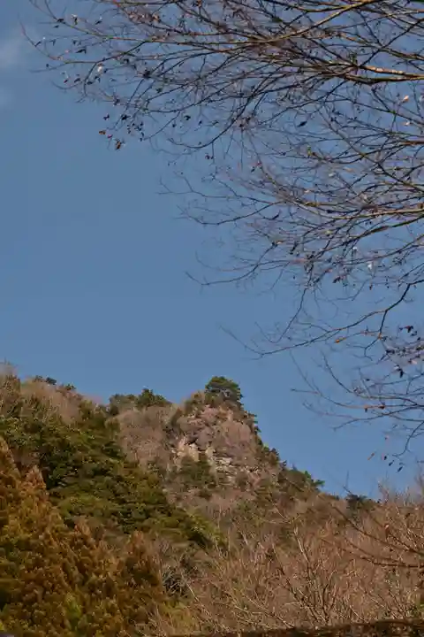 熊野神社(宮崎県)