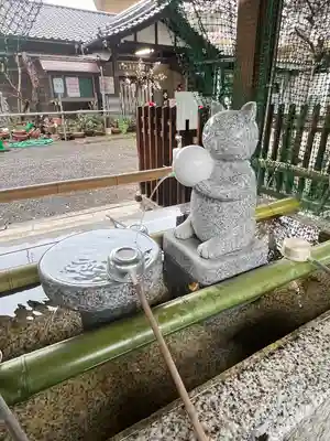 荻窪白山神社(東京都)