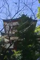 多摩川浅間神社(東京都)