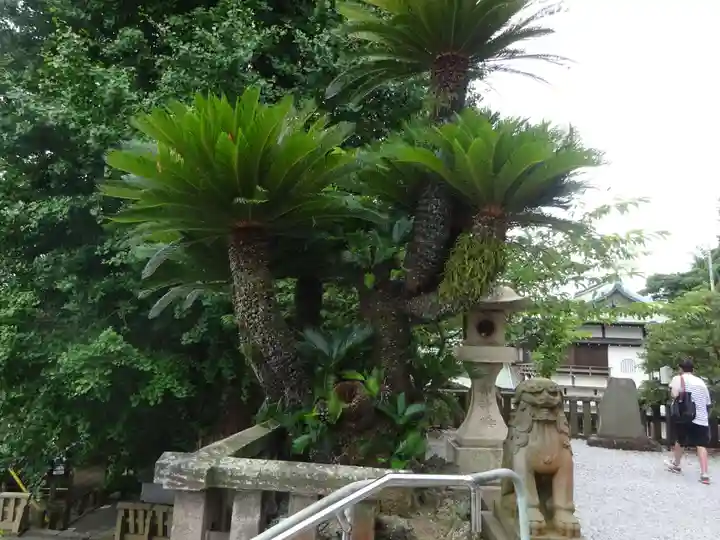 叶神社 (西叶神社)の自然
