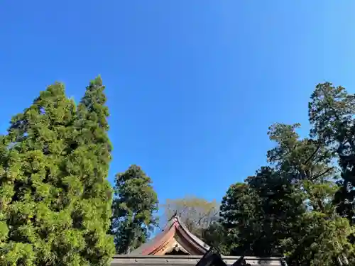 白山比咩神社のその他建物