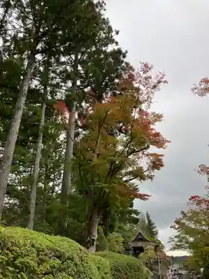 壇上伽藍(和歌山県)