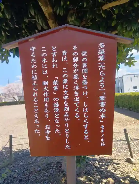 大梅寺(岐阜県)