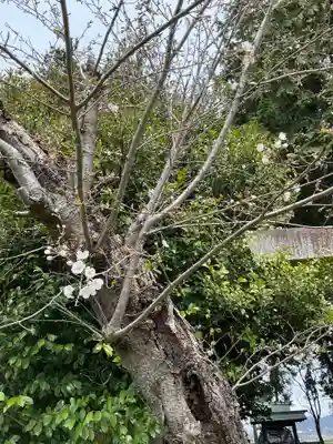 恩田社(愛知県)