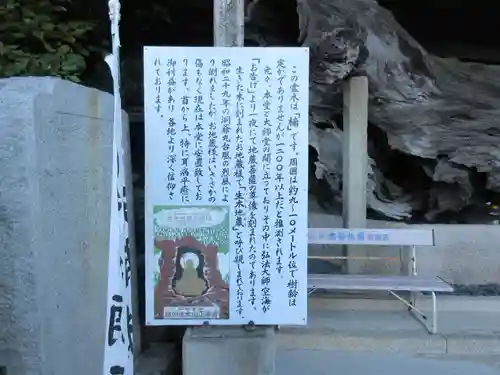 正善寺（生木地蔵）(愛媛県)