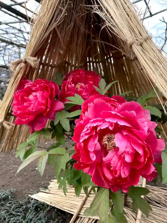 上野東照宮(東京都)