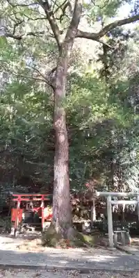 (市辺)天満神社(京都府)