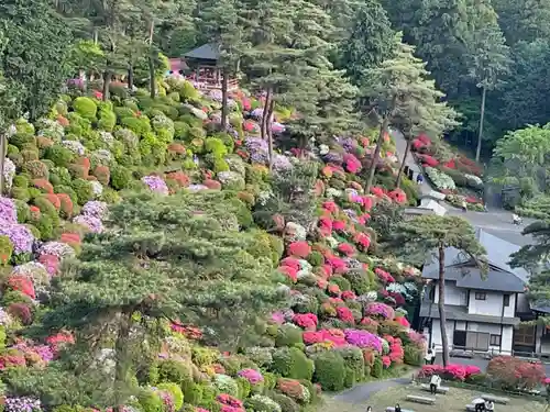 塩船観音寺の景色