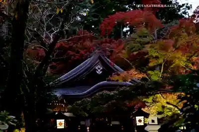 高幡不動尊　金剛寺(東京都)