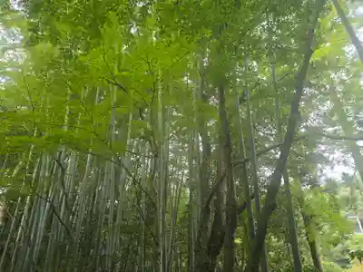 真珠院(神峯山寺塔頭)(大阪府)