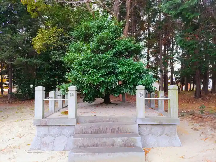 神明社(下町七長)の自然