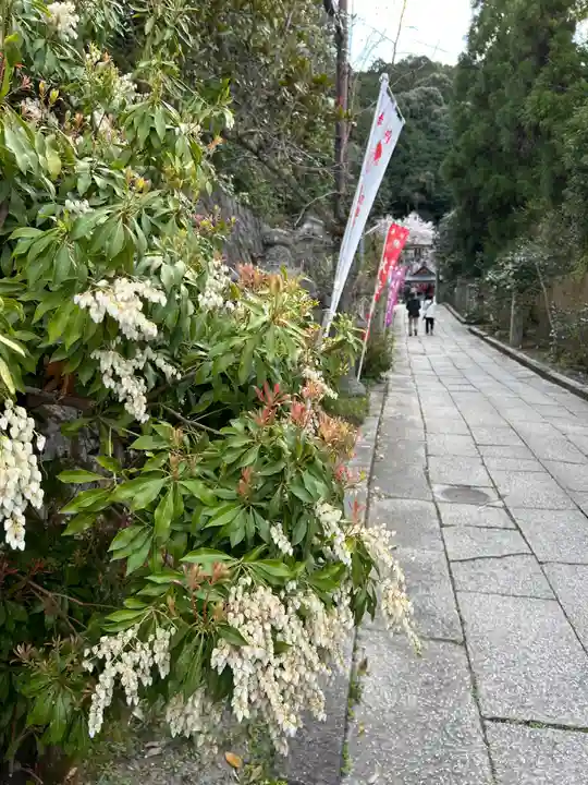 大豊神社(京都府)