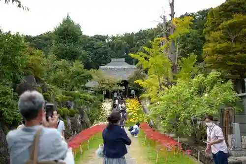 横浜　西方寺のその他建物