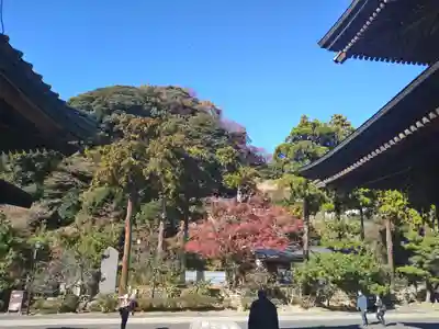 建長寺 半僧坊(神奈川県)
