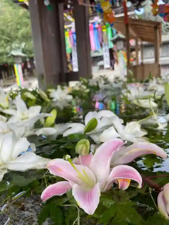 宮地嶽神社の手水舎