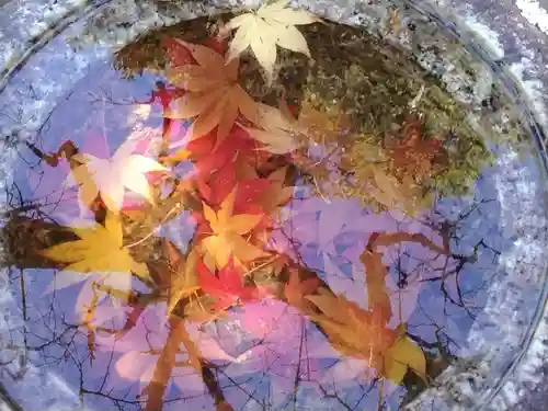 長壽寺（長寿寺）(神奈川県)