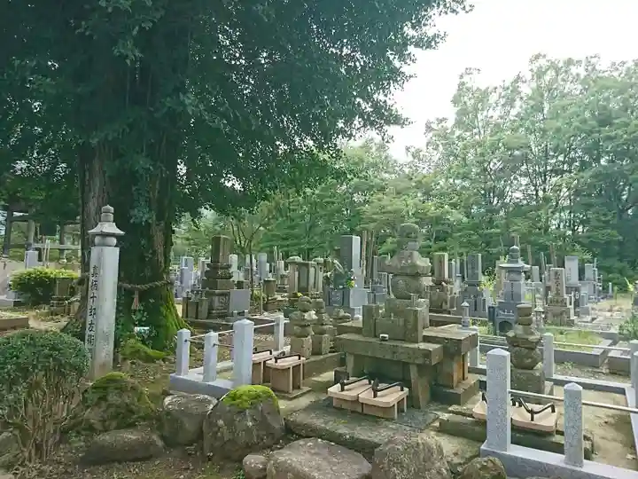 興徳寺(福井県)