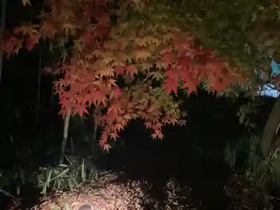 教林坊(滋賀県)