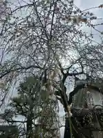浄誓寺の{uncategorized: "未分類", other: "その他", undefined: "問題あり", building: "その他建物", grave: "お墓", sacred_gate: "鳥居", guardian: "狛犬", statue: "像", buddha: "仏像", history: "歴史", nature: "自然", garden: "庭園", animal: "動物", pagoda: "塔", temizu: "手水舎", mountain_gate: "山門・神門", sanctuary: "本殿・本堂", subordinate: "末社・摂社", art: "芸術", scenery: "景色", jizo: "地蔵", ema: "絵馬", goshuin: "御朱印", omikuji: "おみくじ", items: "授与品その他", amulet: "お守り", goshuincho: "御朱印帳", eats: "食事", festival: "お祭り", votive_dance: "神楽", shichigosan: "七五三参", wedding: "結婚式", experience: "体験その他", initially: "初詣", around: "周辺", anti_infection: "感染症対策"}