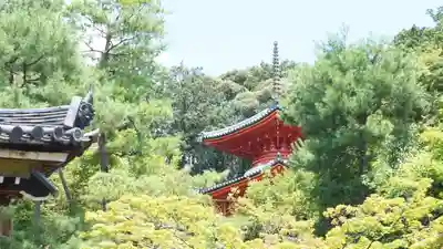 今熊野観音寺(京都府)