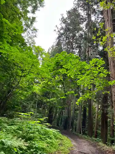 戸隠神社宝光社の自然